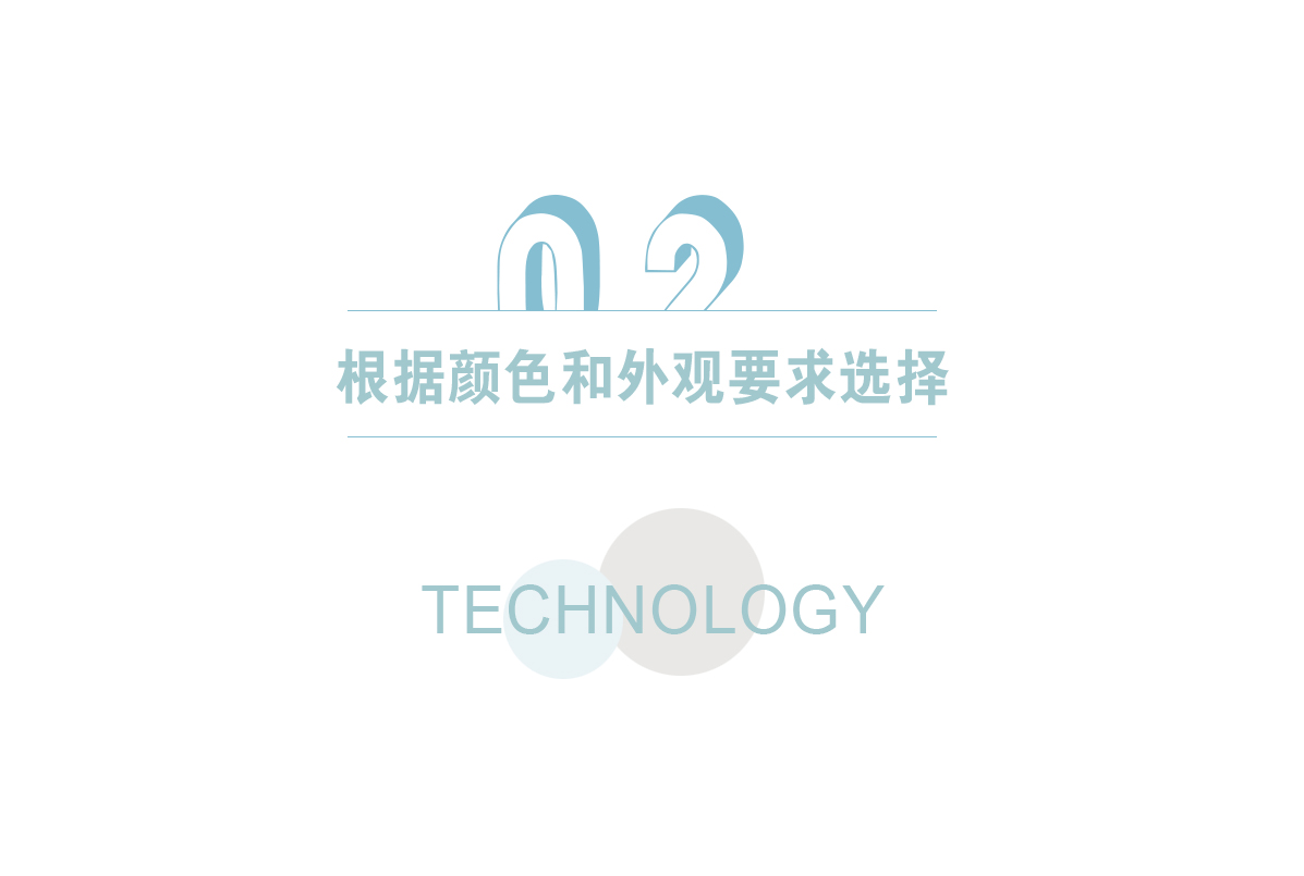 20241118文章標題2.jpg